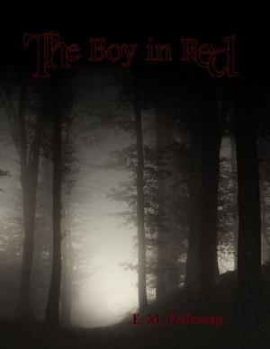 Cover of the book The Boy In Red by Bob Oros
