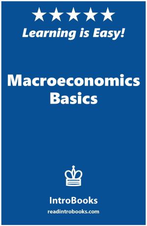 Book cover of Macroeconomics Basics