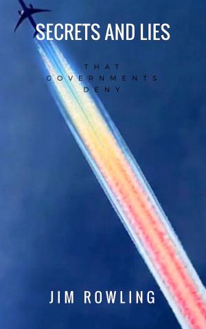 bigCover of the book Secrets and Lies that Governments Deny by 