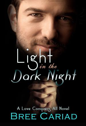 Cover of the book Light in the Dark Night by Leah Sharelle