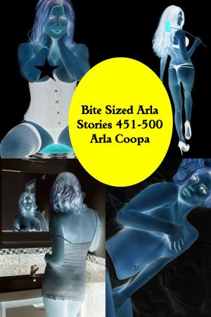 Book cover of Bite Sized Arla: Stories 451-500