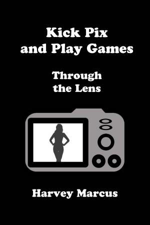 Cover of Through The Lens