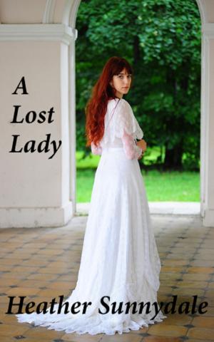 Cover of the book A Lost Lady by Vanessa  E. Silver