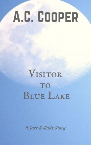 Cover of the book Visitor to Blue Lake: A Jazz and Slade Story by Pieter Aspe