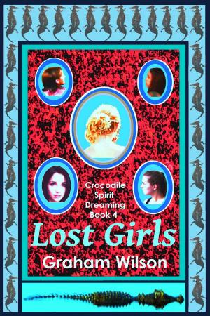 Cover of the book Lost Girls by David Desmond
