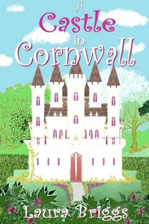 Cover of the book A Castle in Cornwall by C. Hawthorne, G.B. Anders
