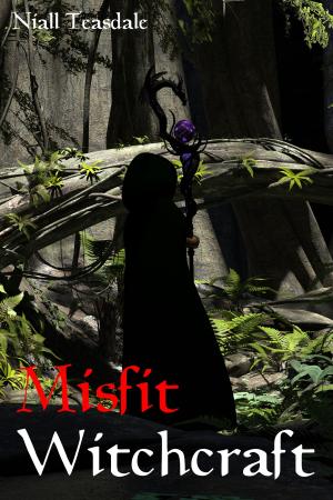 Cover of the book Misfit Witchcraft by Niall Teasdale