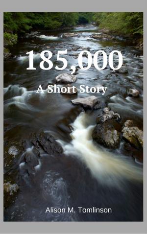 Cover of the book 185,000 by Liz Levoy
