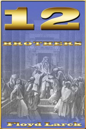 Book cover of 12 Brothers