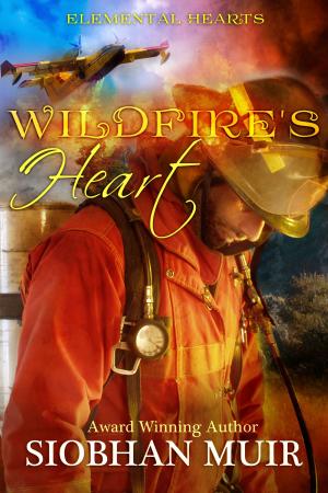 Cover of the book Wildfire's Heart by Pippa Jay