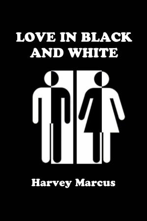 Book cover of Love in Black and White