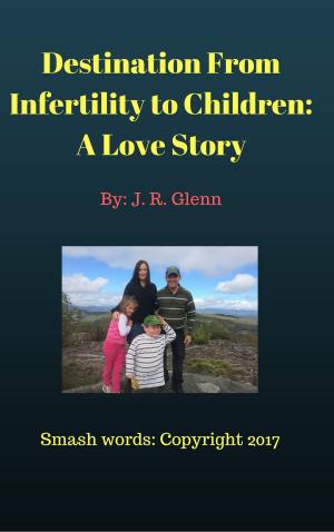 Book cover of Destination From Infertility to Children: A Love Story