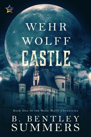 Cover of the book Wehr Wolff Castle by Christine Danse