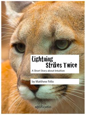 Cover of the book Lightning Strikes Twice: A Short Story about Intuition by Joe Simpson