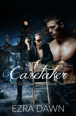 Book cover of The Caretaker