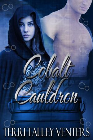 Cover of the book Cobalt Cauldron by Sonya Lano
