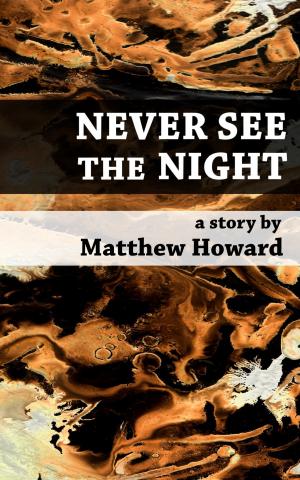 Cover of the book Never See the Night by Melissa Szydlek