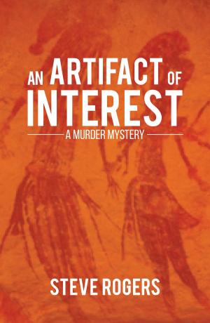 Cover of the book An Artifact of Interest by Dan Ryan