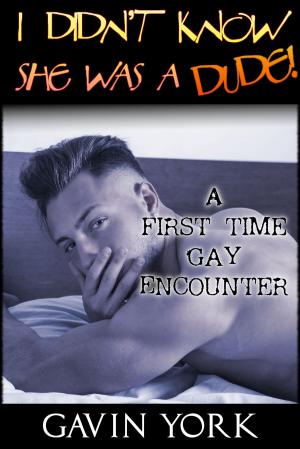 bigCover of the book I Didn't Know She Was A Dude! (A First-Time Gay Encounter) by 