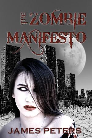 bigCover of the book The Zombie Manifesto by 