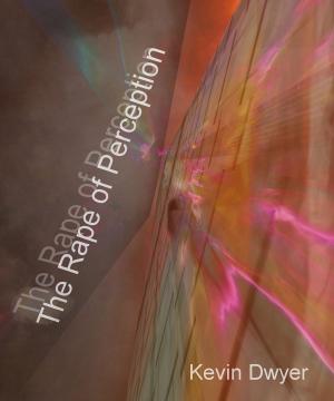 Book cover of The Rape of Perception