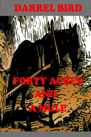 bigCover of the book Forty Acres and a Mule by 
