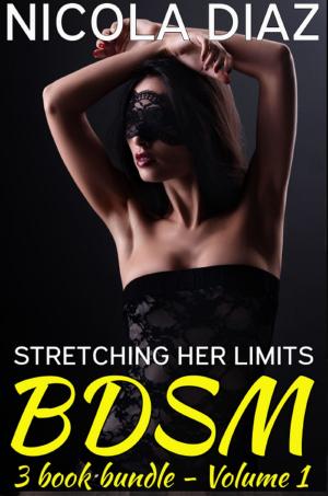 bigCover of the book Stretching Her BDSM Limits (First Time, Object Insertion, Spanking, Voyeur) - 3 book bundle - Volume 1 by 