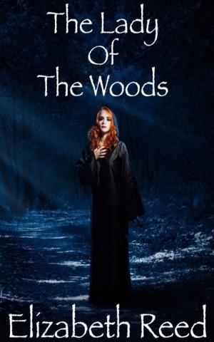 Cover of the book The Lady Of The Woods by Jeff Tikari