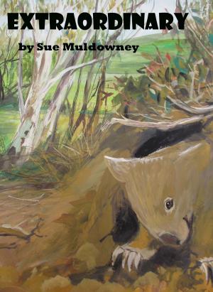 Cover of the book Extraordinary by Sue Muldowney