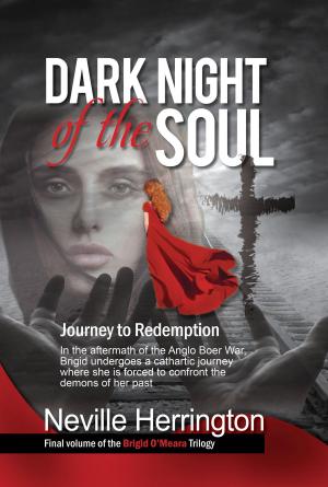 Cover of the book Dark Night of the Soul by Robert Strasser