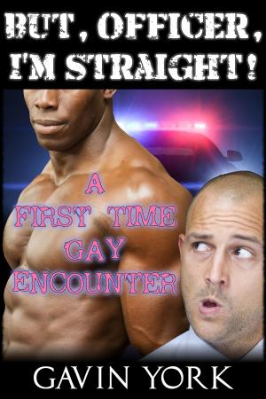 Cover of the book But Officer, I'm Straight!: A First Time Gay Encounter by C.J. Darling