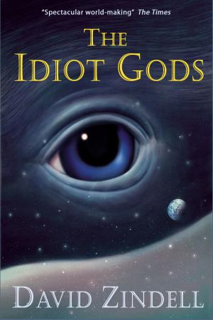 Cover of The Idiot Gods