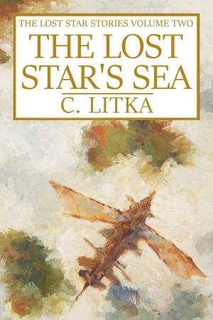 Cover of the book The Lost Star's Sea by Ann Hunter