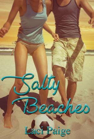 Cover of the book Salty Beaches by Erin McLellan
