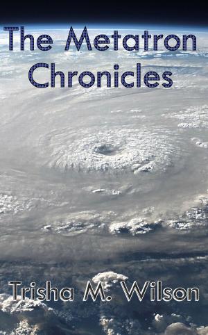 Cover of The Metatron Chronicles