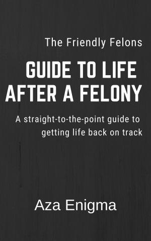 Cover of The Friendly Felon's Guide to Life After a Felony: Finding Second Chances After Conviction