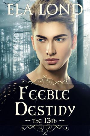 Book cover of The 13th: Feeble Destiny