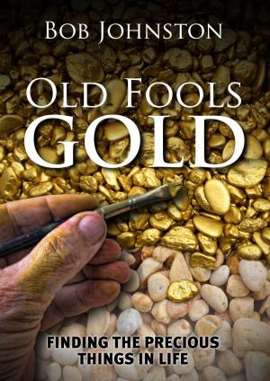 Cover of the book Old Fool's Gold by A.J. Sendall