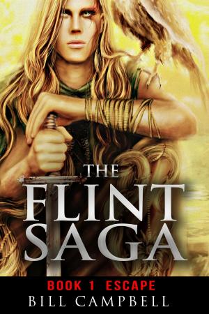 Cover of the book The Flint Saga: Book 1: Escape by K Campbell