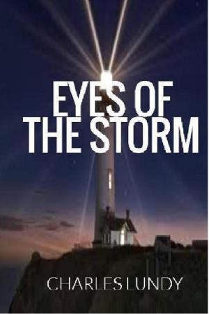 Cover of the book Eyes Of The Storm by Camille LaGuire
