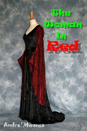 Cover of the book The Woman In Red by Andre' Mwansa