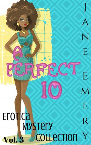 Book cover of A Perfect 10: Erotica Mystery Collection, Vol. 3