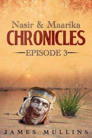 Cover of Nasir and Maarika Chronicles Episode III