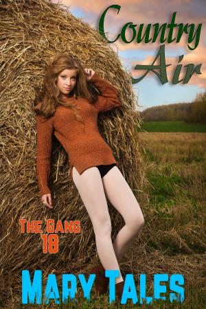 Cover of the book Country Air by Carla Pearce