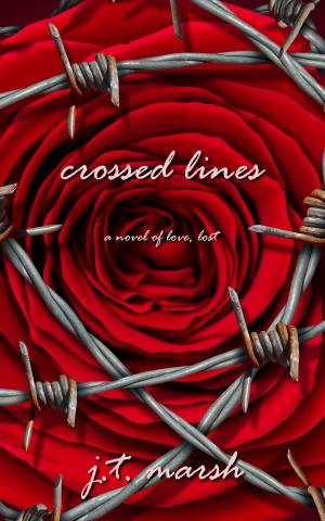 bigCover of the book Crossed Lines: A Novel of Love, Lost by 