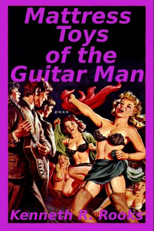 Cover of Mattress Toys of the Guitar Man