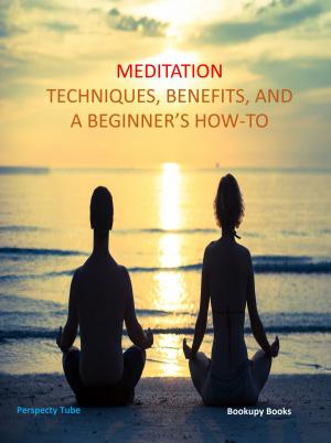 Cover of Meditation Techniques, Benifits, and a Beginner's How-to