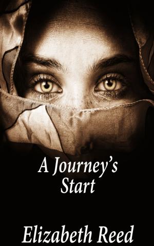 Cover of the book A Journey's Start by Vanessa  E. Silver