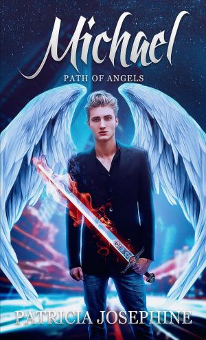 Cover of the book Michael, Path of Angels Book 1 by V.D PRIN