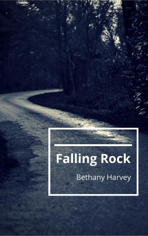bigCover of the book Falling Rock by 